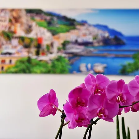 بيت ضيافة Amalfi Coast 3*